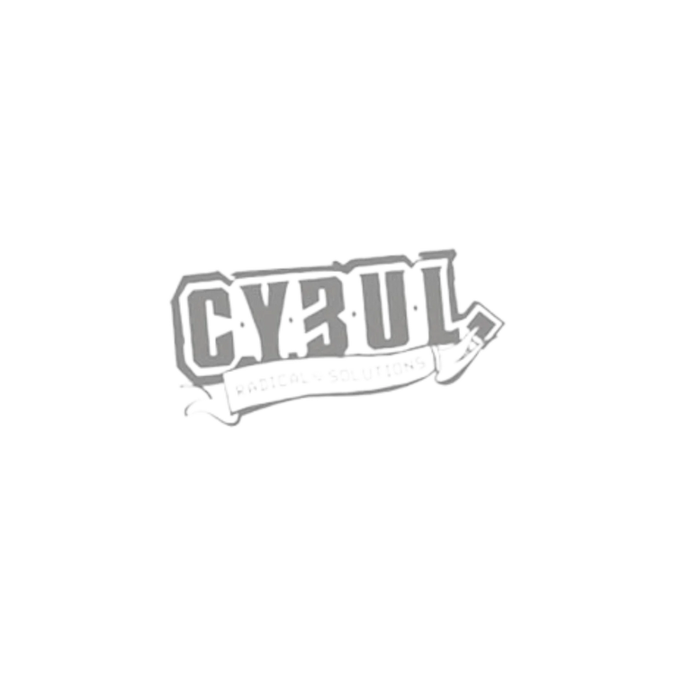 Cybul Radical Solutions