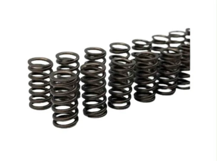 Kit molle valvole rinforzate BMW M57 330d 530d 335d 535d 3.0CC 197 CV / 231 CV/286Cv